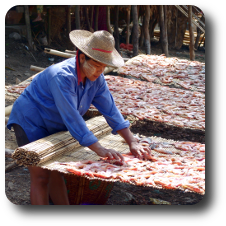 Myanmar Reisen – Seafood